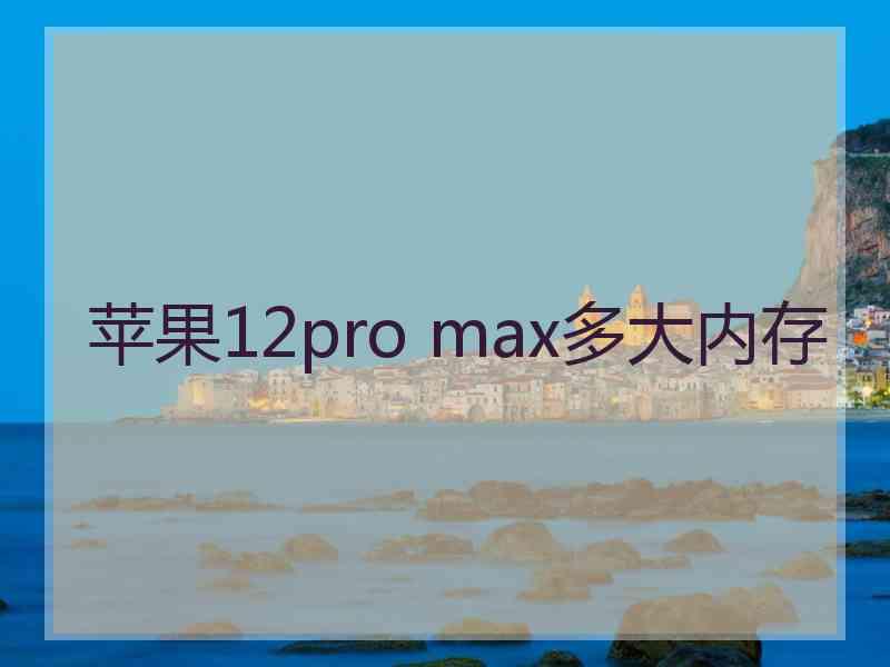 苹果12pro max多大内存