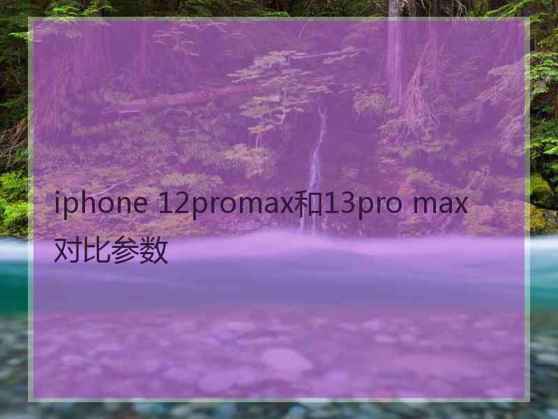 iphone 12promax和13pro max对比参数