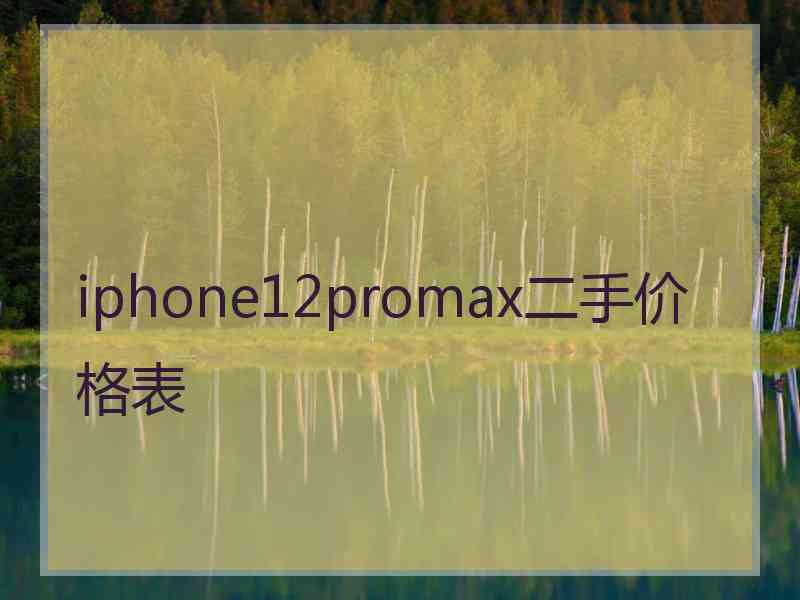 iphone12promax二手价格表