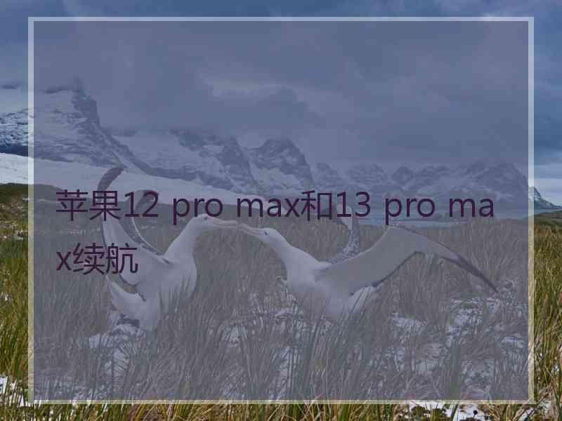 苹果12 pro max和13 pro max续航