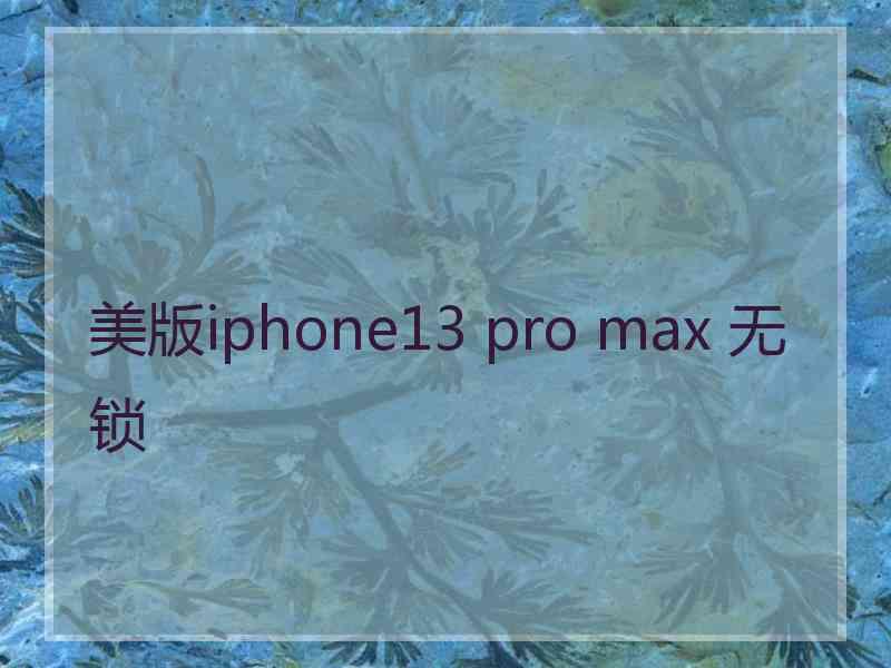 美版iphone13 pro max 无锁