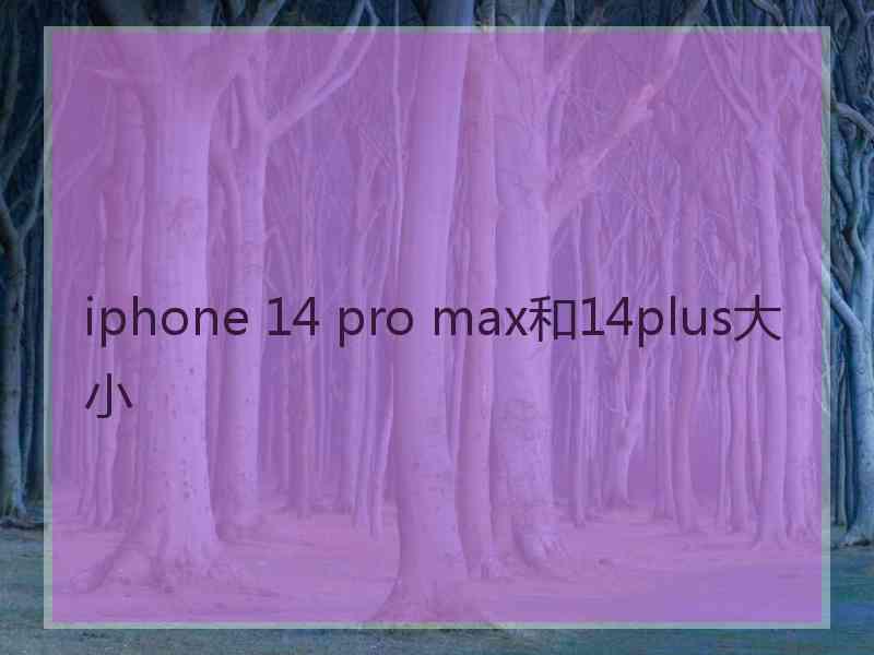 iphone 14 pro max和14plus大小