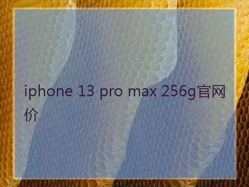 iphone 13 pro max 256g官网价