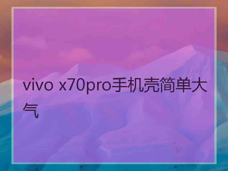 vivo x70pro手机壳简单大气