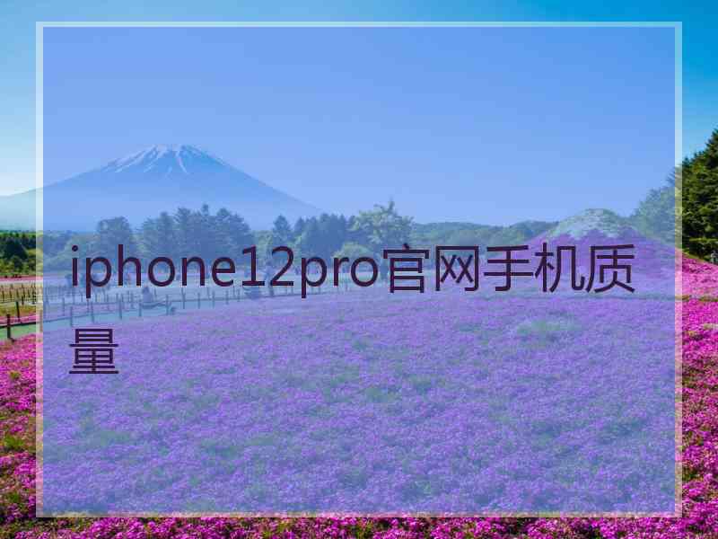 iphone12pro官网手机质量