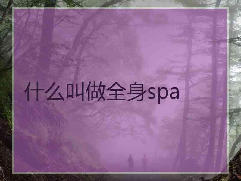 什么叫做全身spa