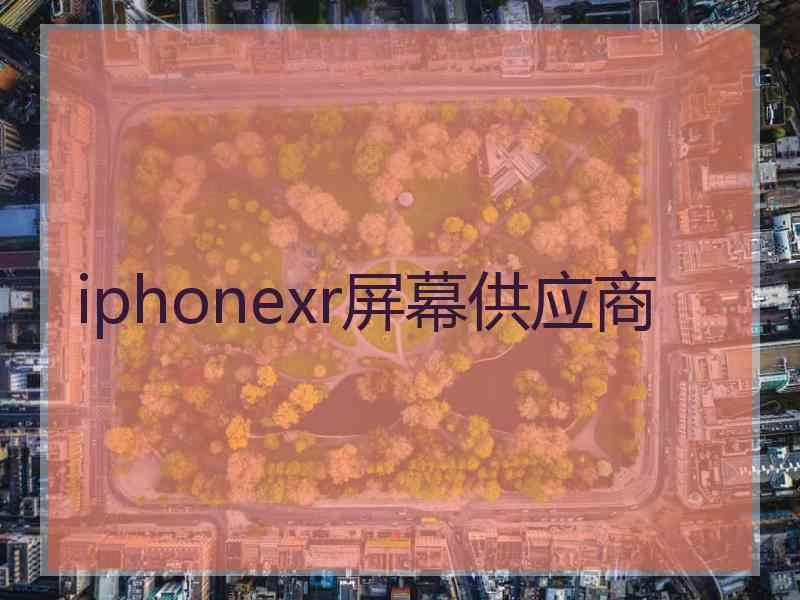 iphonexr屏幕供应商