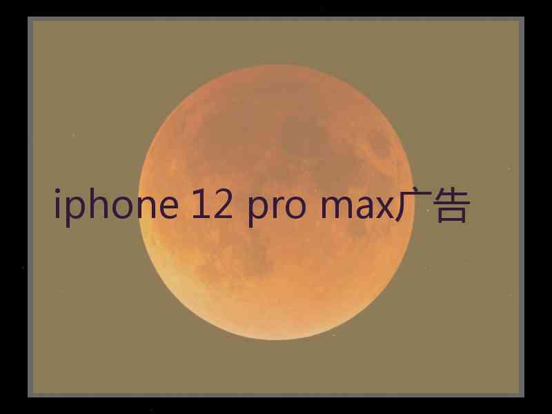 iphone 12 pro max广告