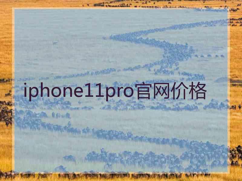 iphone11pro官网价格