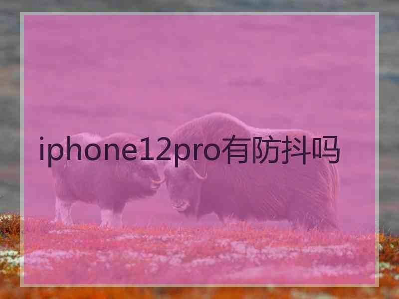 iphone12pro有防抖吗