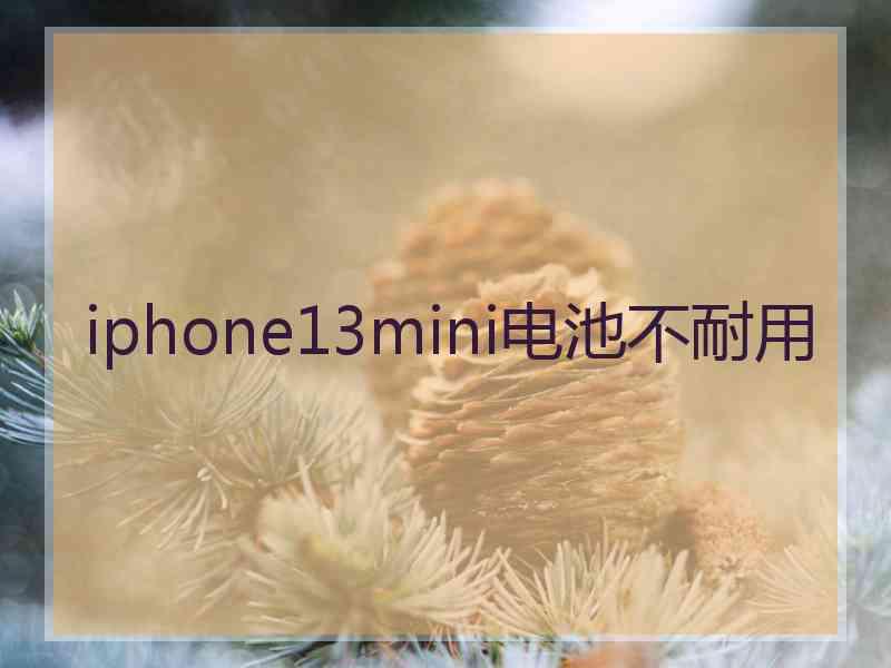 iphone13mini电池不耐用