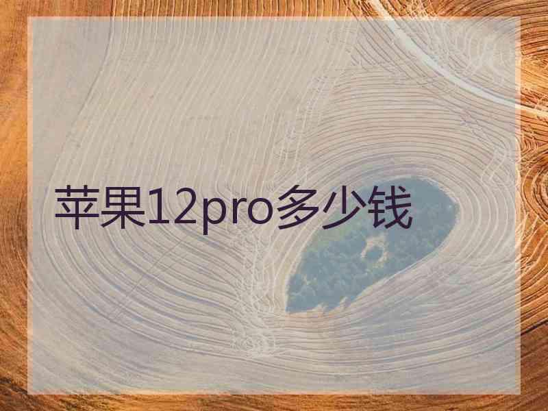 苹果12pro多少钱