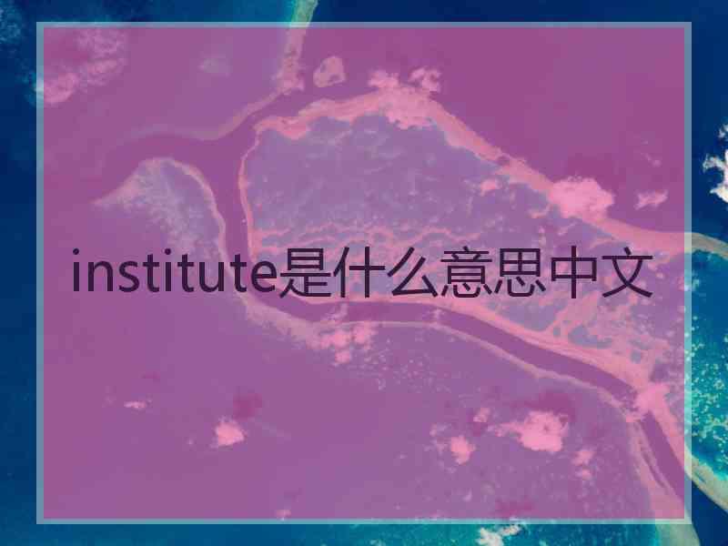 institute是什么意思中文