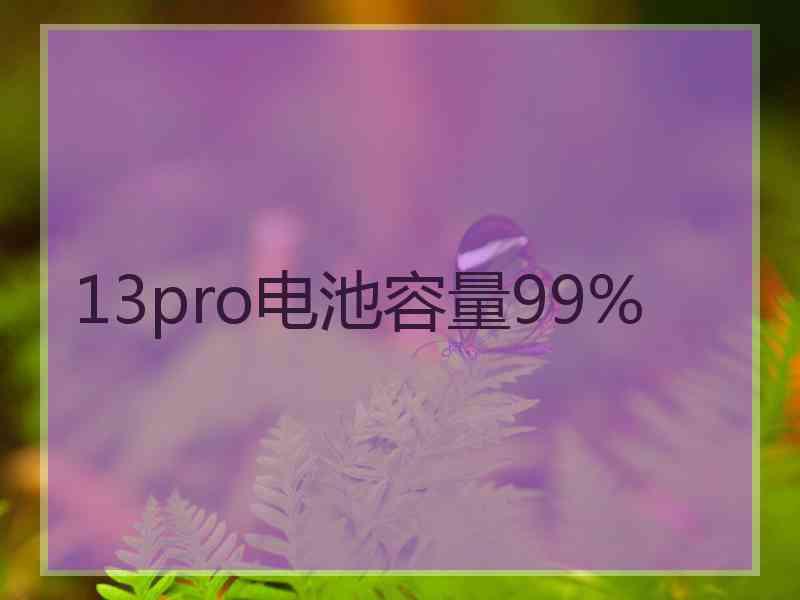 13pro电池容量99%