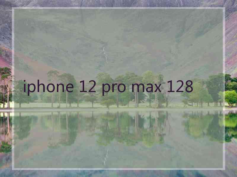 iphone 12 pro max 128