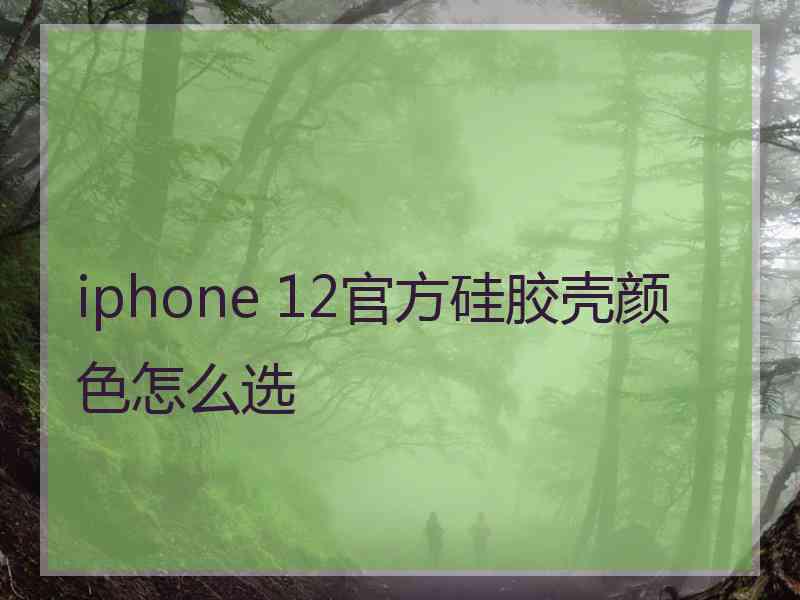 iphone 12官方硅胶壳颜色怎么选