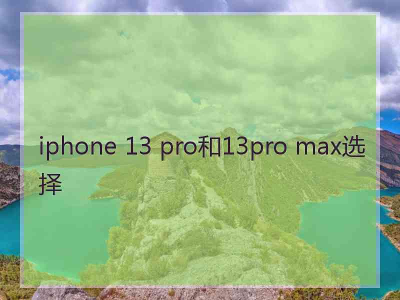 iphone 13 pro和13pro max选择