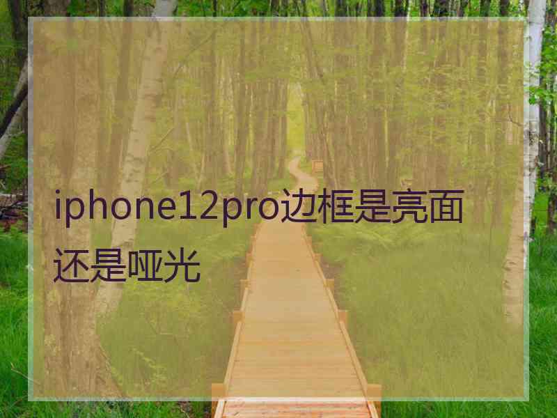 iphone12pro边框是亮面还是哑光