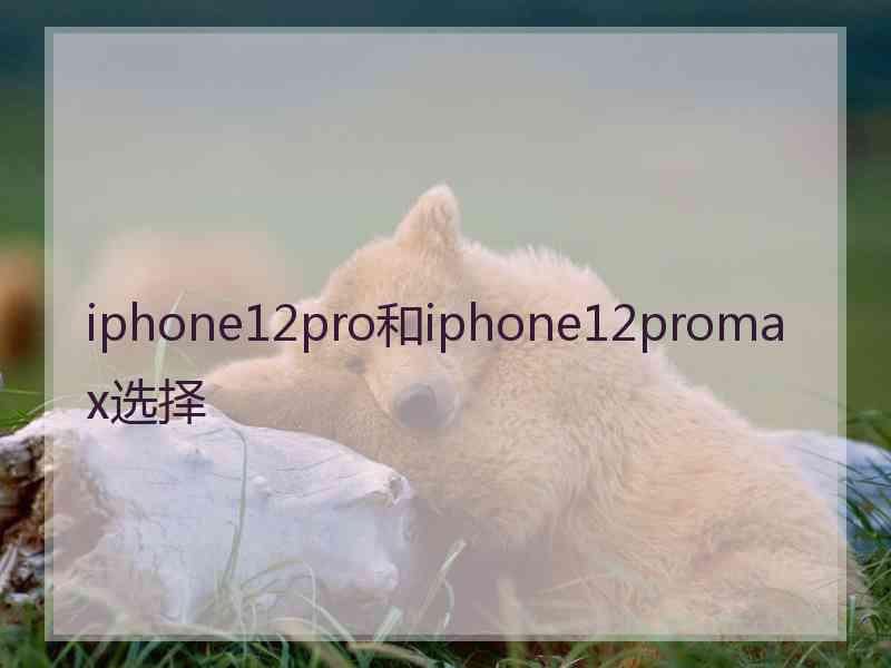 iphone12pro和iphone12promax选择