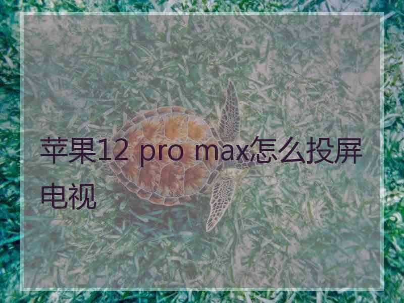 苹果12 pro max怎么投屏电视