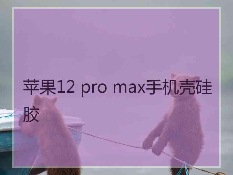 苹果12 pro max手机壳硅胶