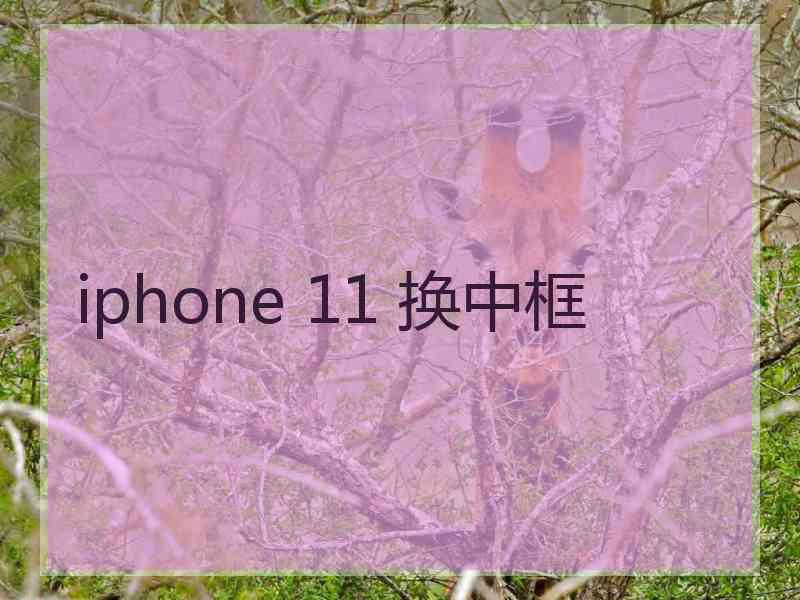 iphone 11 换中框