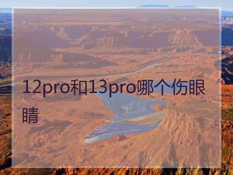 12pro和13pro哪个伤眼睛