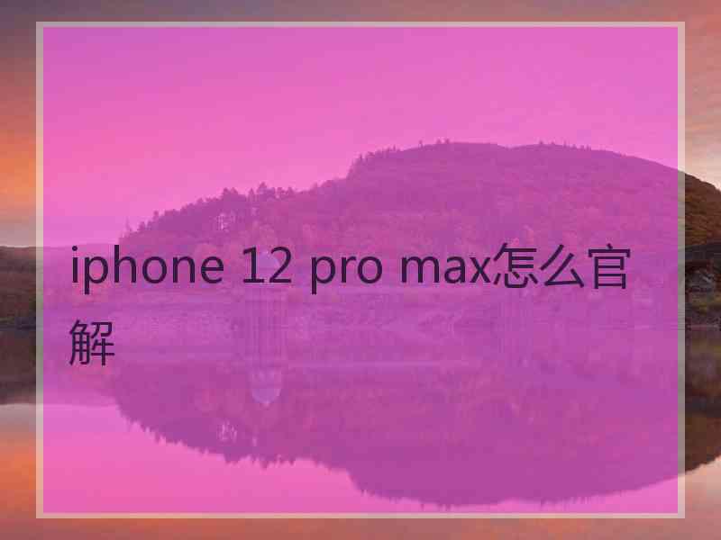 iphone 12 pro max怎么官解