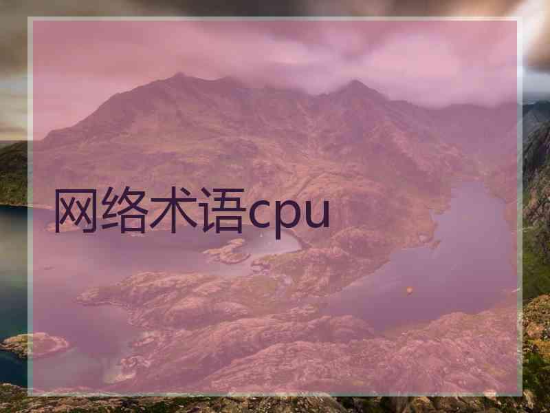 网络术语cpu