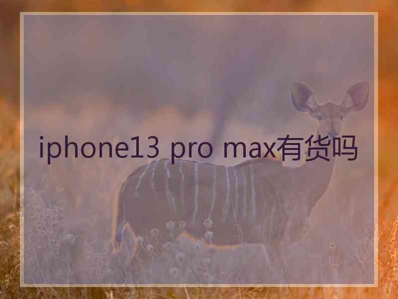 iphone13 pro max有货吗