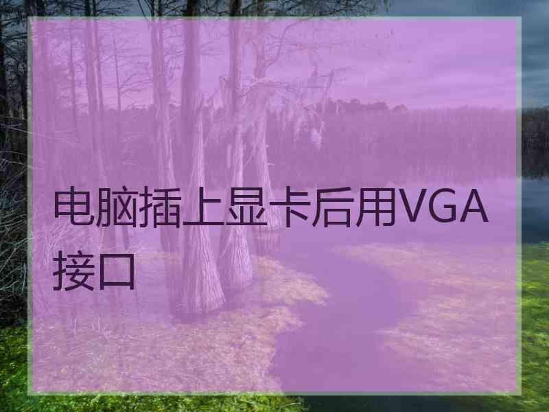 电脑插上显卡后用VGA接口