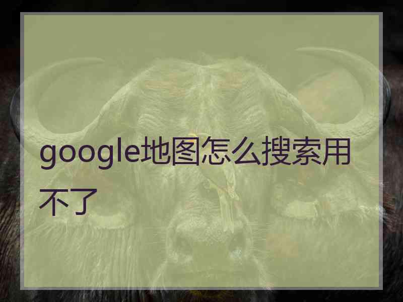 google地图怎么搜索用不了