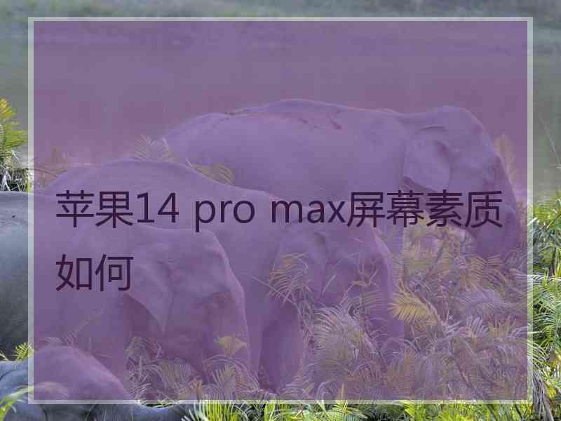 苹果14 pro max屏幕素质如何