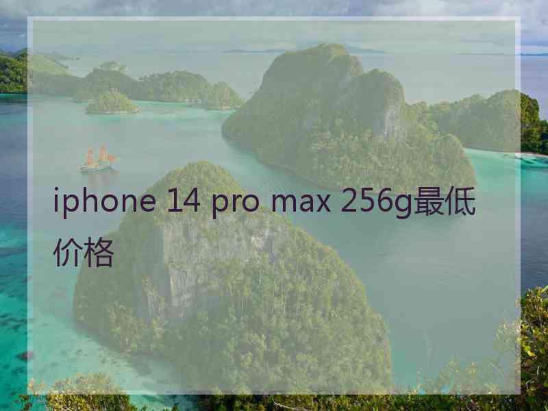 iphone 14 pro max 256g最低价格