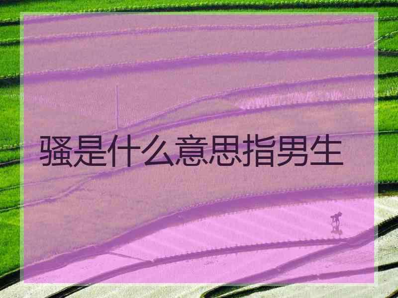 骚是什么意思指男生