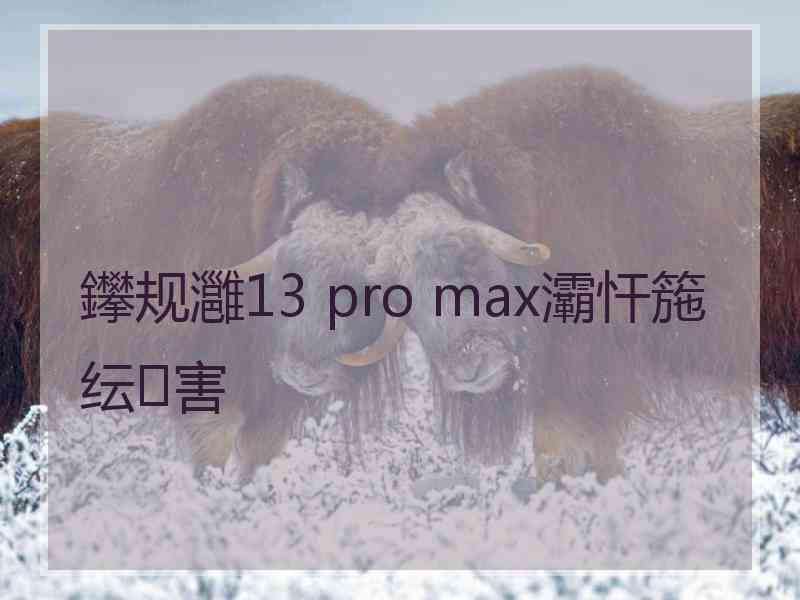 鑻规灉13 pro max灞忓箷纭害