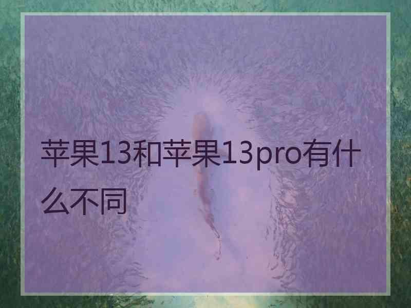 苹果13和苹果13pro有什么不同