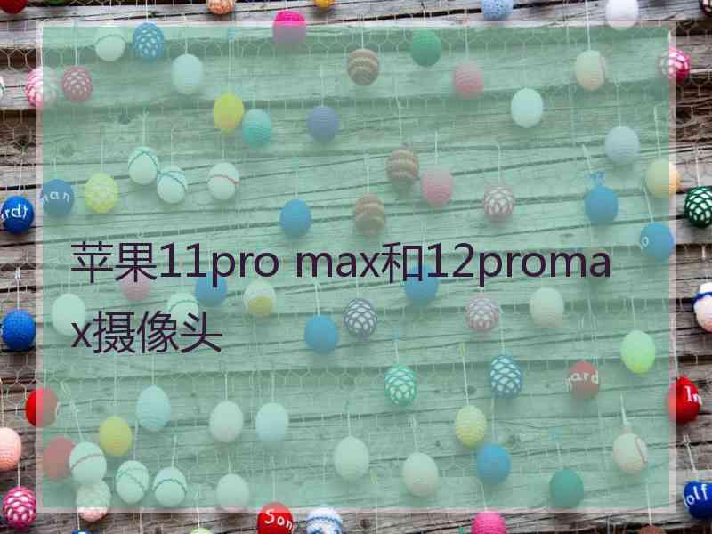 苹果11pro max和12promax摄像头