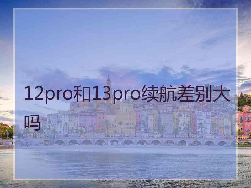 12pro和13pro续航差别大吗