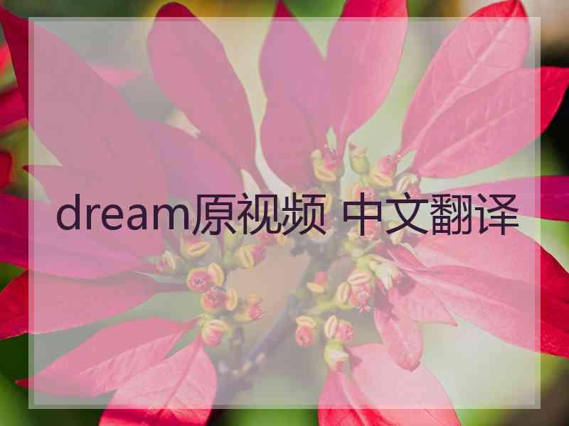 dream原视频 中文翻译
