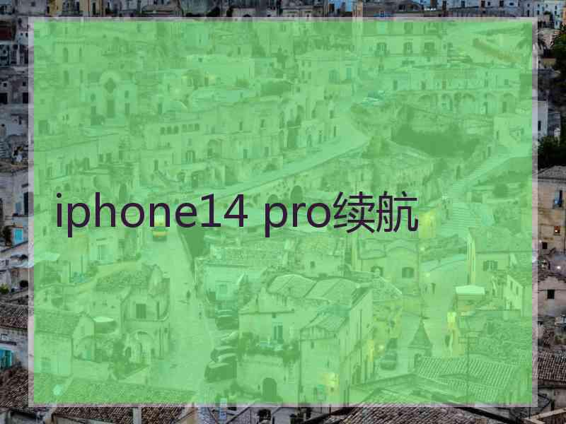 iphone14 pro续航