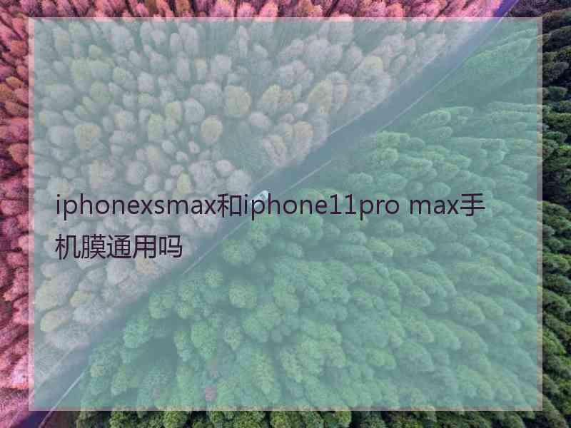 iphonexsmax和iphone11pro max手机膜通用吗