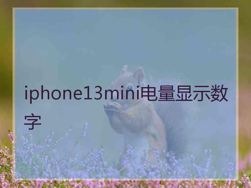 iphone13mini电量显示数字