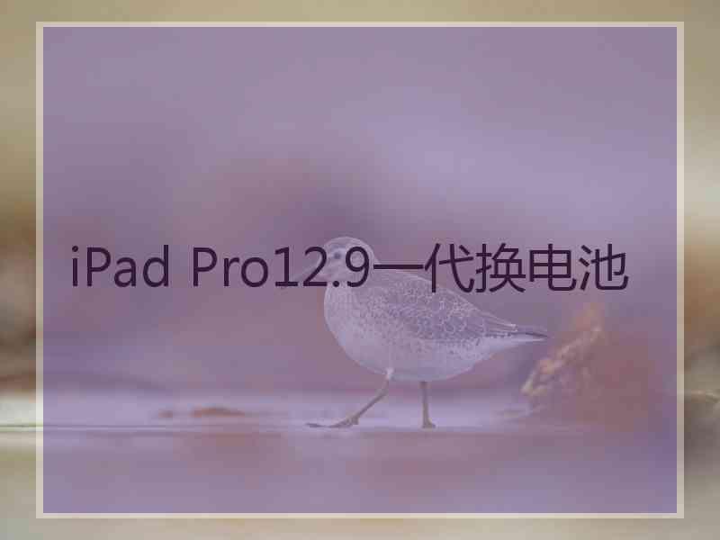 iPad Pro12.9一代换电池