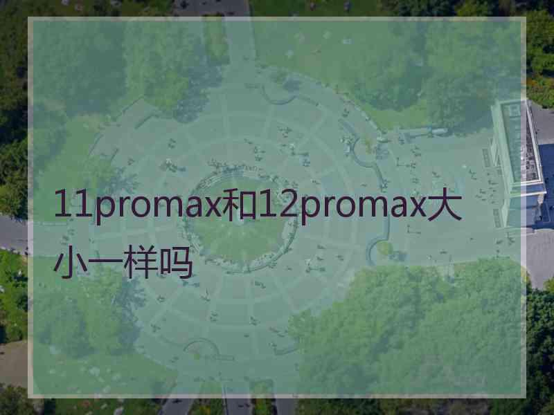 11promax和12promax大小一样吗