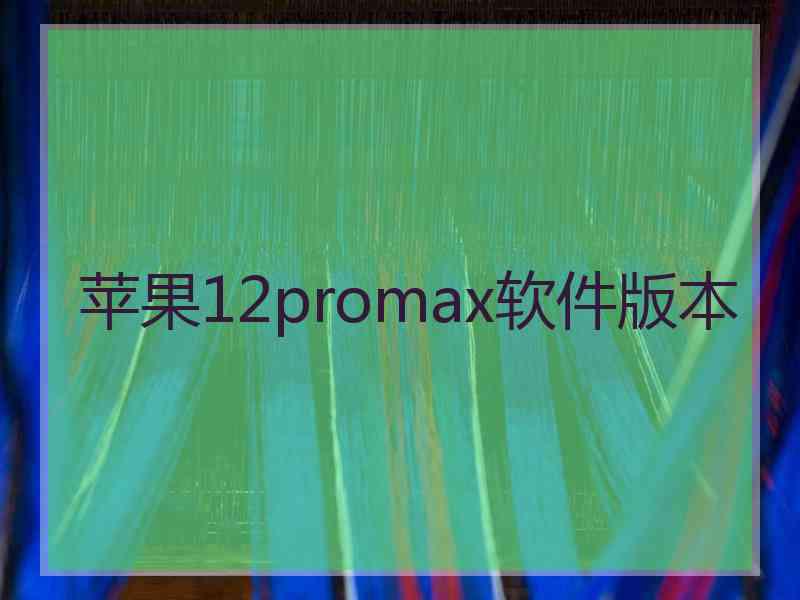 苹果12promax软件版本