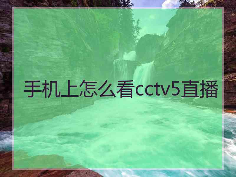 手机上怎么看cctv5直播