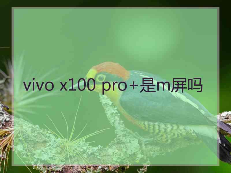 vivo x100 pro+是m屏吗