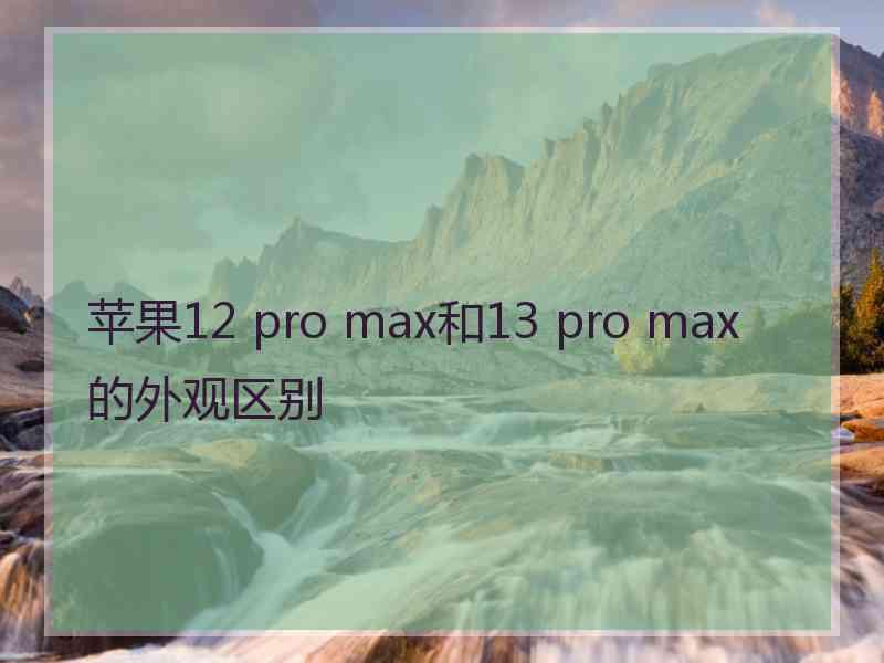 苹果12 pro max和13 pro max的外观区别