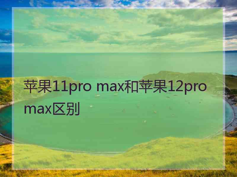 苹果11pro max和苹果12promax区别